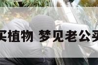 梦见老公买植物 梦见老公买植物种植