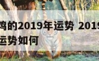 属鸡属鸡的2019年运势 2019属鸡人的全年运势如何