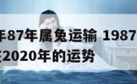 2017年87年属兔运输 1987年的生肖兔在2020年的运势