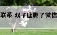 双子座删除联系 双子座删了微信还有可能加回来吗