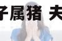 夫妻属猪属鼠孩子属猪 夫妻属猪和鼠,孩子属相哪个好