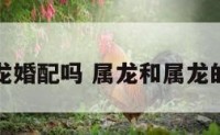 属龙与属龙婚配吗 属龙和属龙的人相配吗