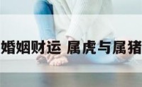 属虎和属猪婚姻财运 属虎与属猪的婚姻状况