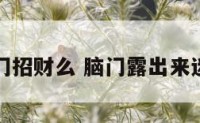 露出脑门招财么 脑门露出来迷信说法