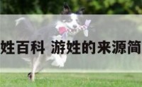 游姓百科 游姓的来源简介