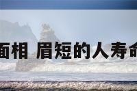 眉短面相 眉短的人寿命长吗