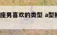 a型血狮子座男喜欢的类型 a型狮子男喜欢什么类型