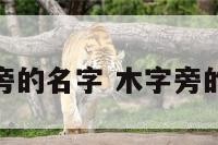 属猪木字旁的名字 木字旁的猪有什么