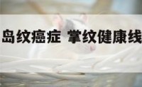 健康线上有岛纹癌症 掌纹健康线上有岛纹三角纹