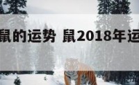 20018鼠的运势 鼠2018年运势完整版