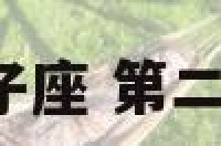 第2宫狮子座 第二宫狮子座