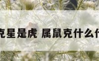 属鼠的克星是虎 属鼠克什么什么属相
