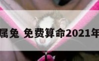 免费算命属兔 免费算命2021年运程属兔