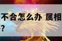 属相合和星座不合怎么办 属相和星座不和的在一起好不好?