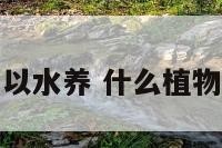 那些植物可以水养 什么植物可以水里养