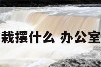 办公室盆栽摆什么 办公室放的盆栽