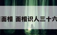 32相面相 面相识人三十六术图