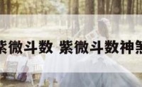 神仙紫微斗数 紫微斗数神煞列表