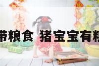 属猪的宝宝带粮食 猪宝宝有粮食寓意的字