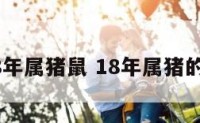 2018年属猪鼠 18年属猪的运势
