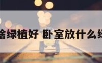 卧室放啥绿植好 卧室放什么绿植合适