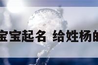 给性杨的宝宝起名 给姓杨的宝宝取名