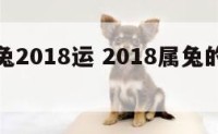 生肖属兔2018运 2018属兔的运势和财运