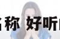 音乐分组名称 好听的音乐分组