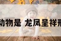 龙凤成祥的动物是 龙凤呈祥形容什么生肖