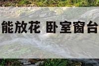 卧室窗台能不能放花 卧室窗台放什么花风水好