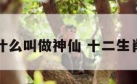 十二生肖什么叫做神仙 十二生肖谁是神仙