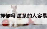 属鼠的人会抑郁吗 属鼠的人容易上当受骗吗