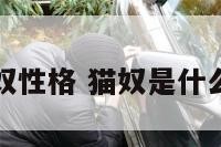 男猫奴性格 猫奴是什么性格