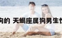 天蝎属狗的 天蝎座属狗男生性格特点