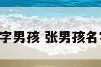 张起名字男孩 张男孩名字2021