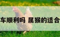 属猴的人开车顺利吗 属猴的适合开什么车顺