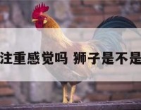 狮子注重感觉吗 狮子是不是喜欢