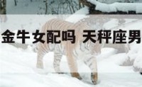 天秤座男和金牛女配吗 天秤座男跟金牛女在一起幸福吗