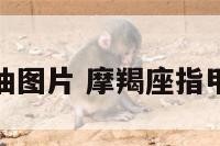摩羯座指甲油图片 摩羯座指甲油图片大全