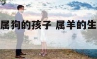 属羊的生个属狗的孩子 属羊的生个属狗的孩子好吗
