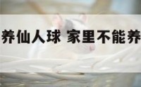 家居不适合养仙人球 家里不能养仙人球有什么风水讲究