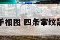 四条掌纹手相图 四条掌纹是什么意思
