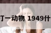 1949打一动物 1949什么生肖