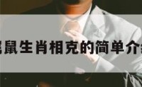 属鼠生肖相克的简单介绍
