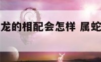 属蛇的和属龙的相配会怎样 属蛇和属龙的相配吗?