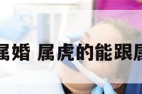 属虎的能跟属婚 属虎的能跟属婚的结婚吗