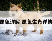 属兔详解 属兔生肖详情