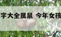 今年女孩名字大全属鼠 今年女孩名字大全属鼠取名