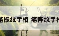 笔振纹手相 笔阵纹手相