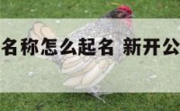 新开公司的名称怎么起名 新开公司的名称怎么起名字